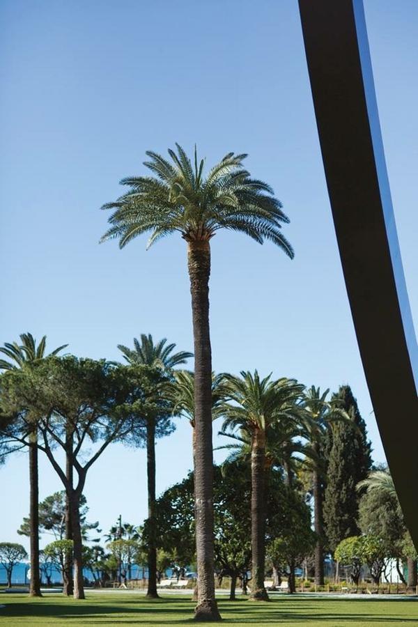 Appartamento Centrale 2 - F4 Spacieux Et Confortable Au Centre Du Vieux-Nizza Esterno foto